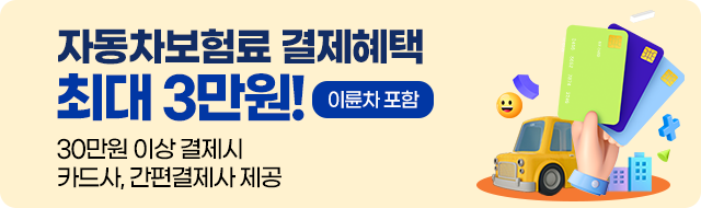 자동차 보험료 결제 혜택 최대 3만원 이륜차 포함 30만원 이상 결제 시 카드사, 간편 결제사 제공